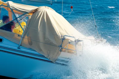 Illustration dodger - Image 1