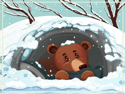 Illustration hibernate