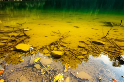 Illustration pink - Image 1