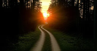 Illustration intentions