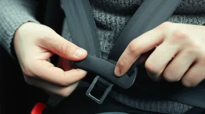 Illustration belted - Image 1