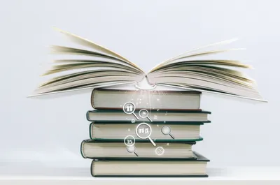 Illustration footnotes - Image 1