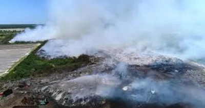 Illustration smolder - Image 2