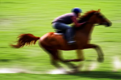 Illustration prick - Image 1