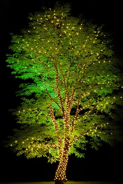 Illustration illuminating - Image 1