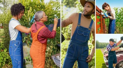 Illustration overall - Image 1