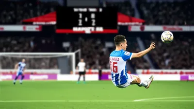 Illustration equalising - Image 1