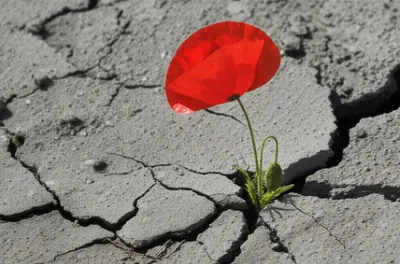 Illustration stifle - Image 1