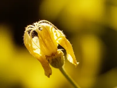 Illustration embrace - Image 1