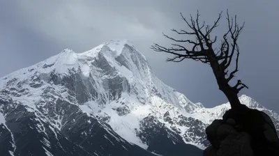 Illustration sterner - Image 1