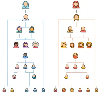 Illustration side - Image 1