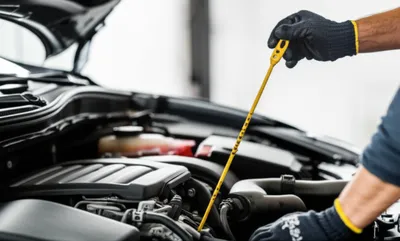 Illustration dip - Image 1