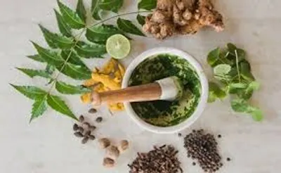 Illustration medicinal - Image 2