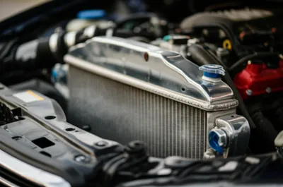 Illustration rad - Image 1