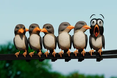 Illustration rumored