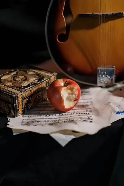 Illustration mandolins - Image 2