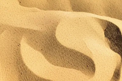 Illustration sandy - Image 1