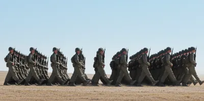 Illustration lines - Image 1