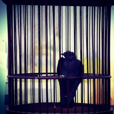 Illustration prisons - Image 1