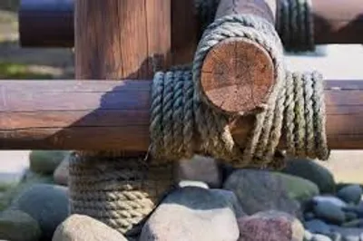 Illustration fast - Image 2