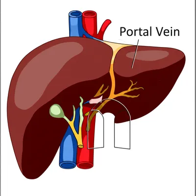 Illustration portal - Image 1
