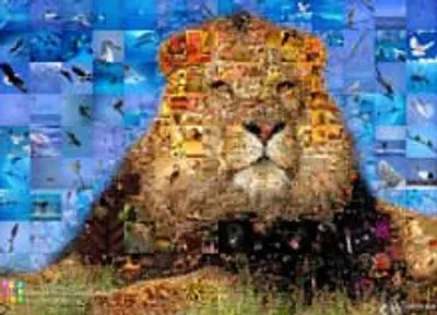 Illustration collage - Image 2