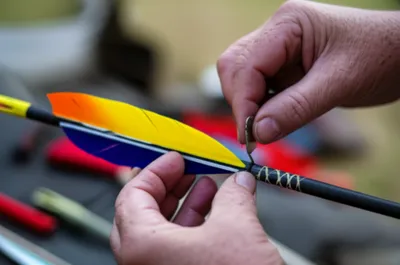 Illustration fletching - Image 1