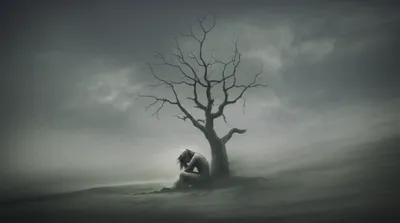 Illustration plain - Image 1