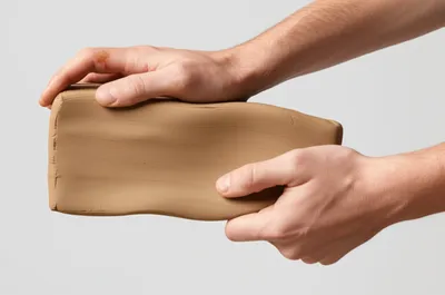 Illustration shearing - Image 1