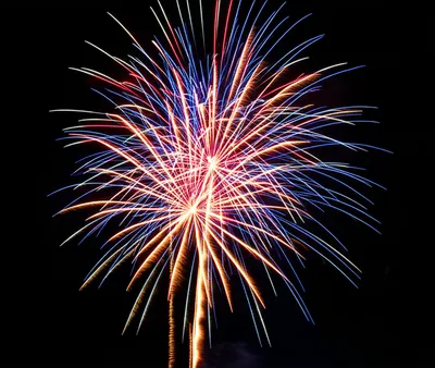 Illustration fusillades - Image 1