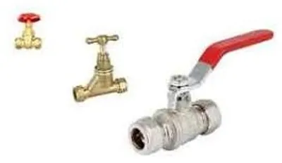 Illustration cock - Image 2