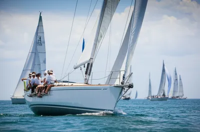 Illustration commodore - Image 1