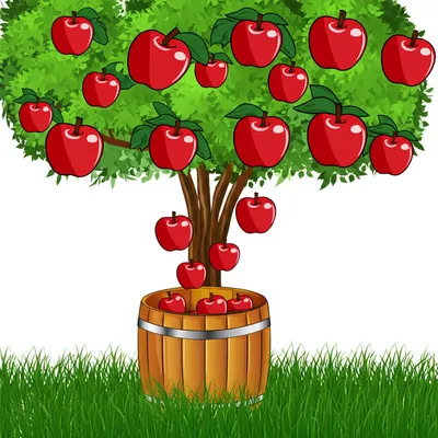 Illustration barreled