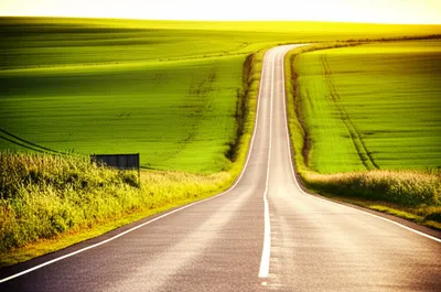 Illustration continues - Image 1