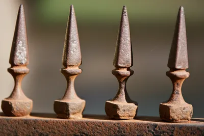 Illustration spike - Image 1