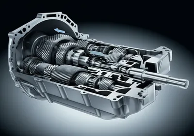 Illustration trans - Image 1