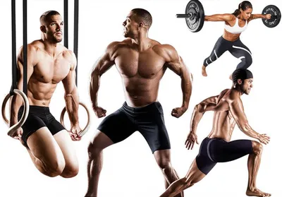 Illustration physiques - Image 1