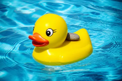 Illustration float - Image 1