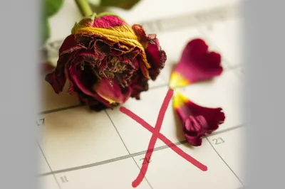 Illustration expiry - Image 1