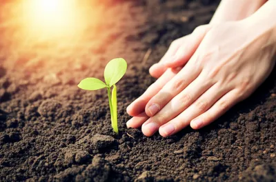 Illustration introducing - Image 1