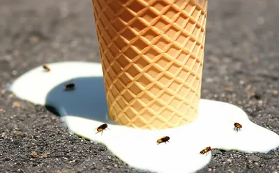 Illustration dissipates - Image 1