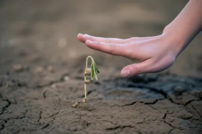 Illustration spurn - Image 1