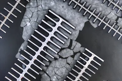 Illustration floe - Image 2