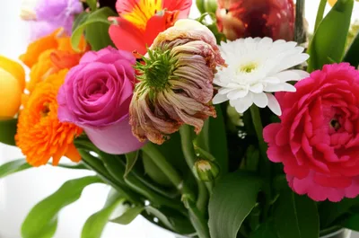 Illustration underappreciated