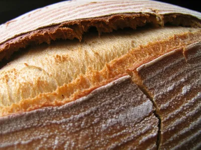 Illustration sprung - Image 1