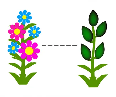 Illustration sterilization - Image 1