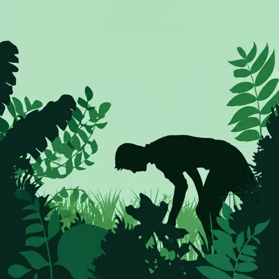 Illustration search - Image 1