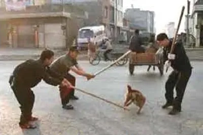 Illustration mistreat - Image 2