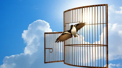 Illustration freed - Image 1