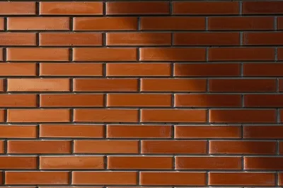 Illustration shut - Image 1